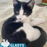 Photo of Gladys