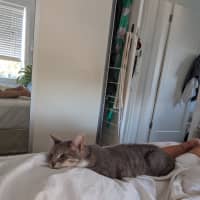 Photo of Zen