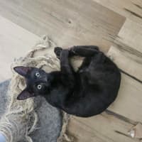 Photo of Benny