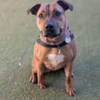Photo of Winnie