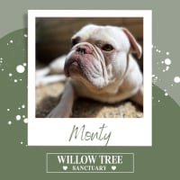 Photo of Monty