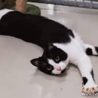 Photo of Jasper Picton