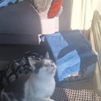 Photo of Daisy