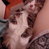 Photo of Cleo