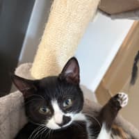 Photo of Sweet Cheeks