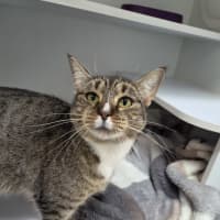 Photo of Cleopatra