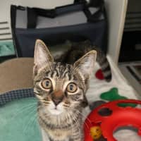 Photo of Marcus *Meet Me At Pet Stock Kingsford*