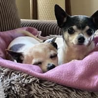 Photo of Chase And Isabella 