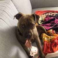 Photo of Milly