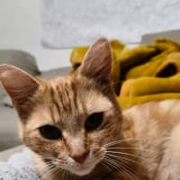 Photo of Mrs Garfield