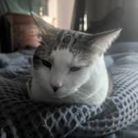 Photo of Pat