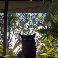 Photo of Orla