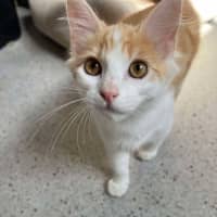 Photo of Ravioli