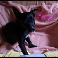 Photo of Anna