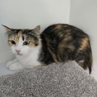 Photo of Delilah
