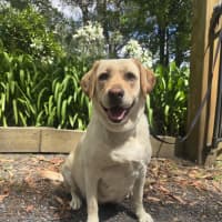 Photo of Hayleywaley