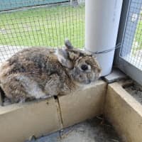 Photo of Duncan
