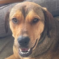 Photo of Lily