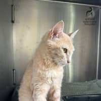 Photo of Happy Heidi