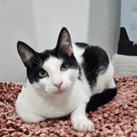 Photo of Mina