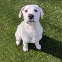 Photo of Barney