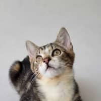Photo of Elliette 