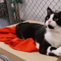 Photo of Jasper Picton