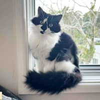 Photo of ❤️ Ruby ❤️