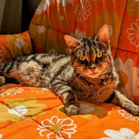 Photo of Dee