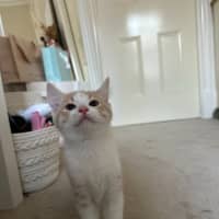 Photo of Moe