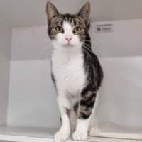 Photo of Delilah