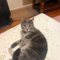 Photo of Beanie