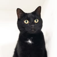 Photo of Betty