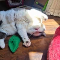 Photo of 🍑Jorgi🍑