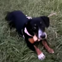 Photo of Sally