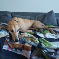 Photo of Sweet Ginger