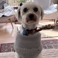 Photo of Sophie