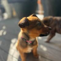 Photo of Nuri