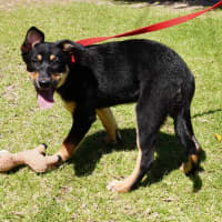 Photo of Ava