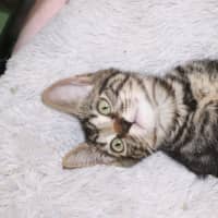 Photo of Monty