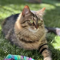 Photo of Lexi & Cara