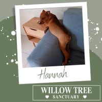 Photo of Hannah