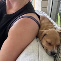 Photo of Rosie