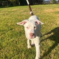 Photo of ❄️ Snowy ❄️