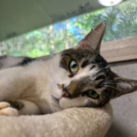 Photo of Charlie
