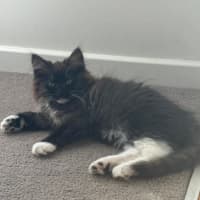 Photo of Terra