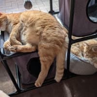 Photo of Jasper
