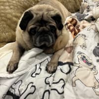 Photo of Essy