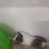 Photo of Fuzz Aldrin