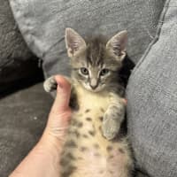 Photo of Freaking Freddie